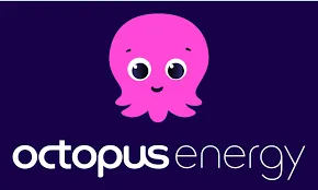 Octopus Energy IT